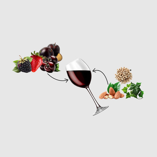 Natural red Wine of France