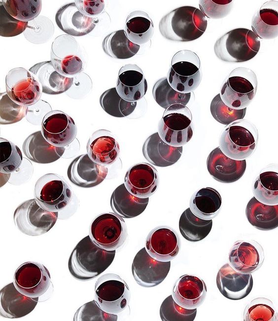 La Vigne en Mars : Préparatifs Prometteurs pour une Saison Vinicole Palpitante