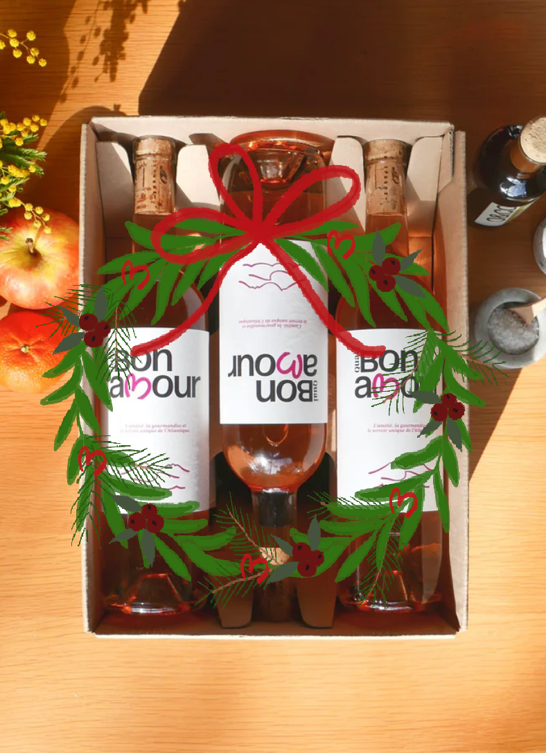 Our rosé 3 bottles AOP Bordeaux