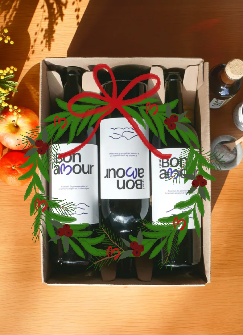 Our white wine 3 bottles AOP Entre-Deux-Mers